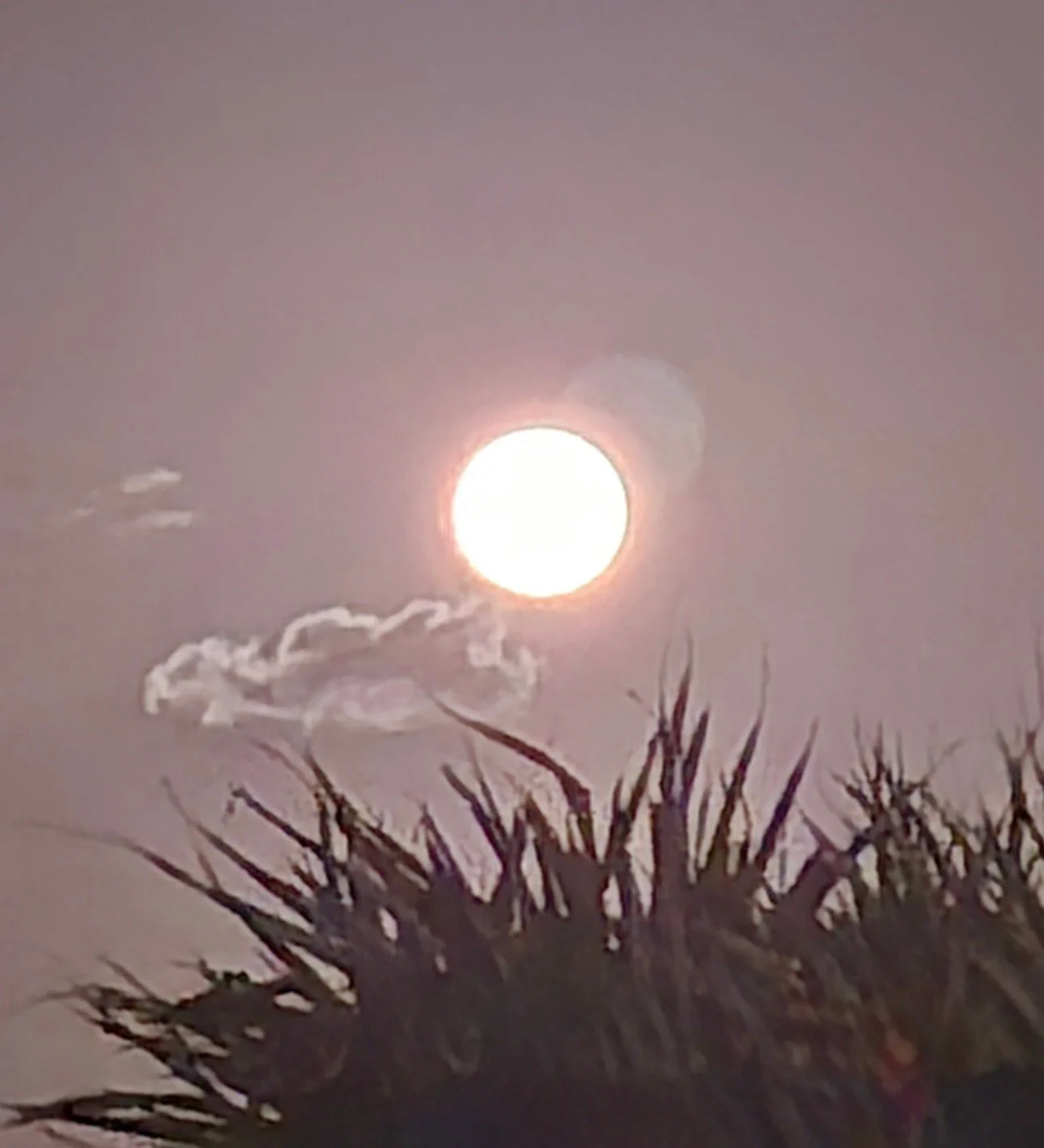 Australia is about to catch a glimpse of the first super full moon of 2025.

But while the October &quot;harvest moon&quot; is the first, it definitely won't be the last this year, with two more full moons classed as &quot;super&quot; happening in No