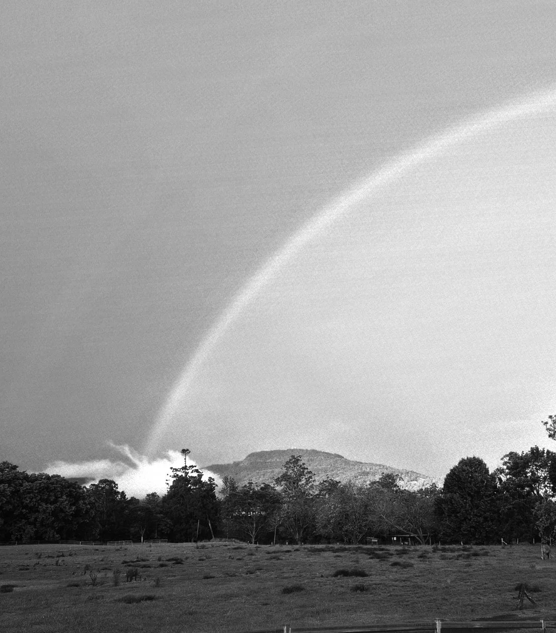 .......with rain comes rainbows.......

 #photography #colours #nature #oreillysrainforestretreat #inspiredbynature @tamborinemountain
@tamlyng
