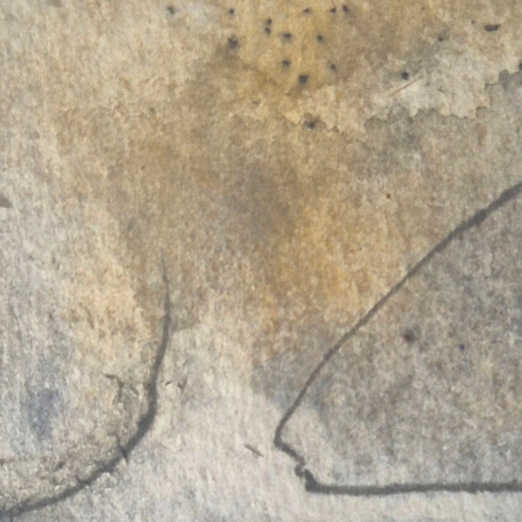 @danialsmithwatercolours
#cansonpaper