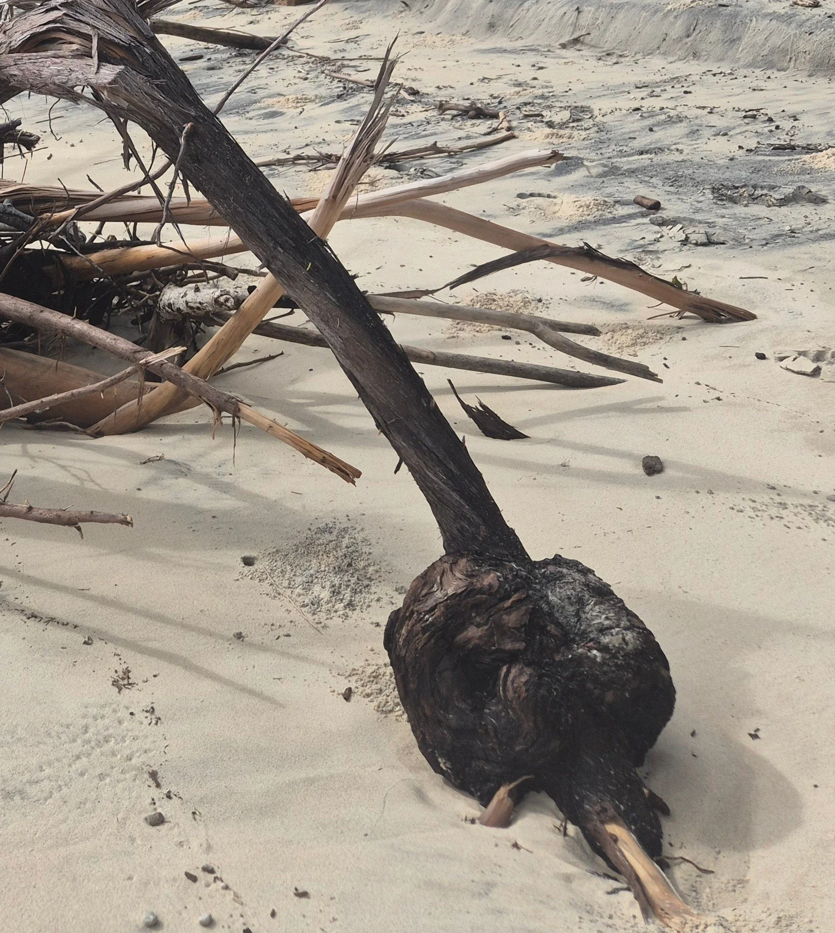 #North Straddie @amitypoint