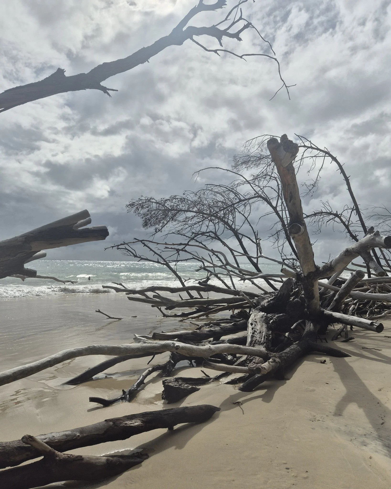 Cyclone Alfred and its distruction on Amity Poiny. 2025  #oceans #inspiration #inspired #oceansoftheworld