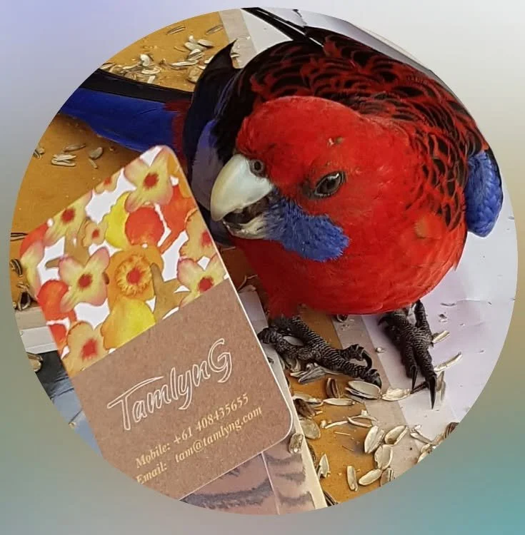 🐦🎨 FROM BIRDLIFE TO BRUSHSTROKES &mdash; TAMLYNG
Have you stopped to look at the birds in your backyard lately?
Sometimes inspiration arrives with feathers, a splash of colour and a curious little visitor! ❤️💙
As an artist and designer based in Ca