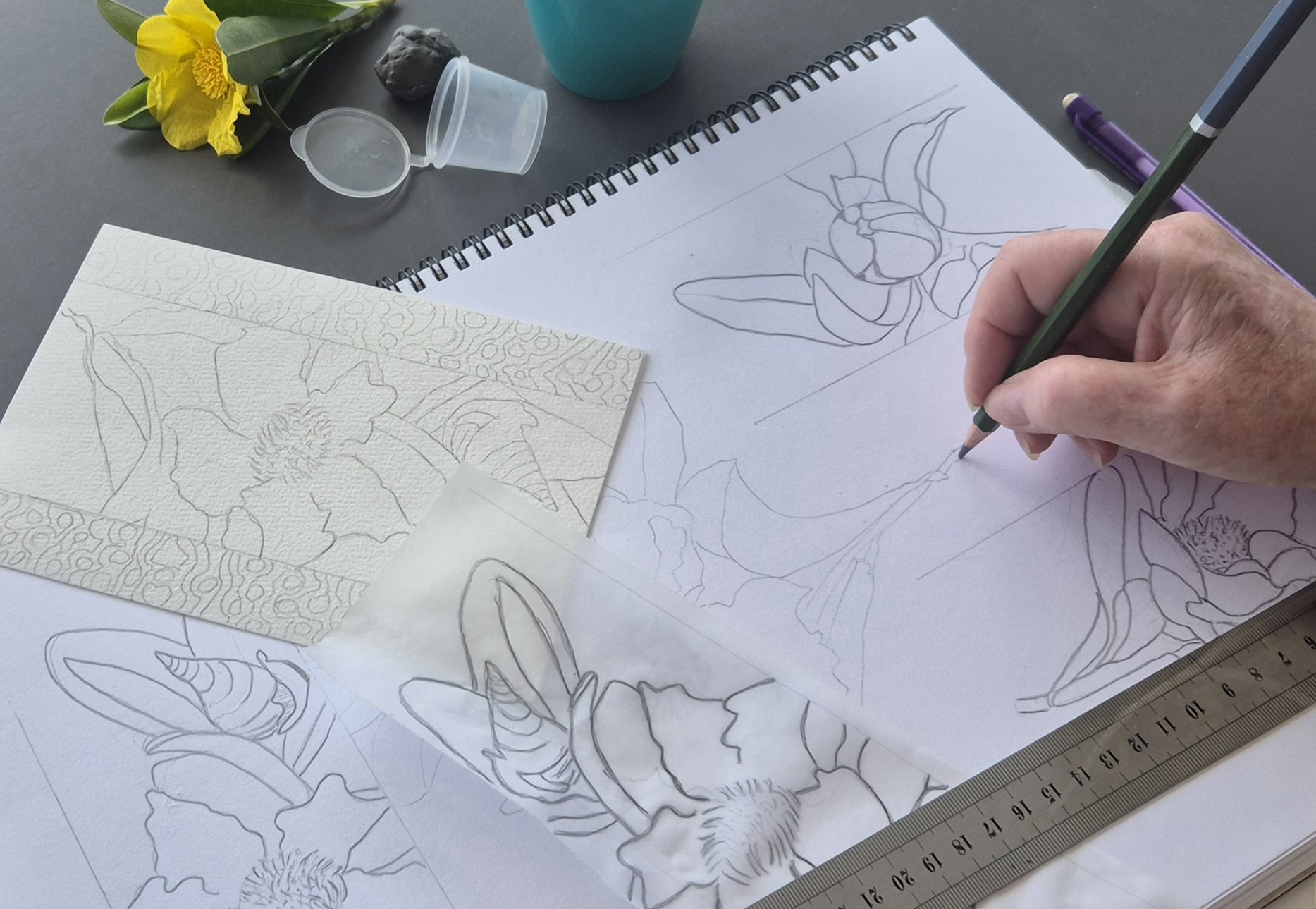 Friday 12th March 2027 - SKETCHBOOK ADVENTURE