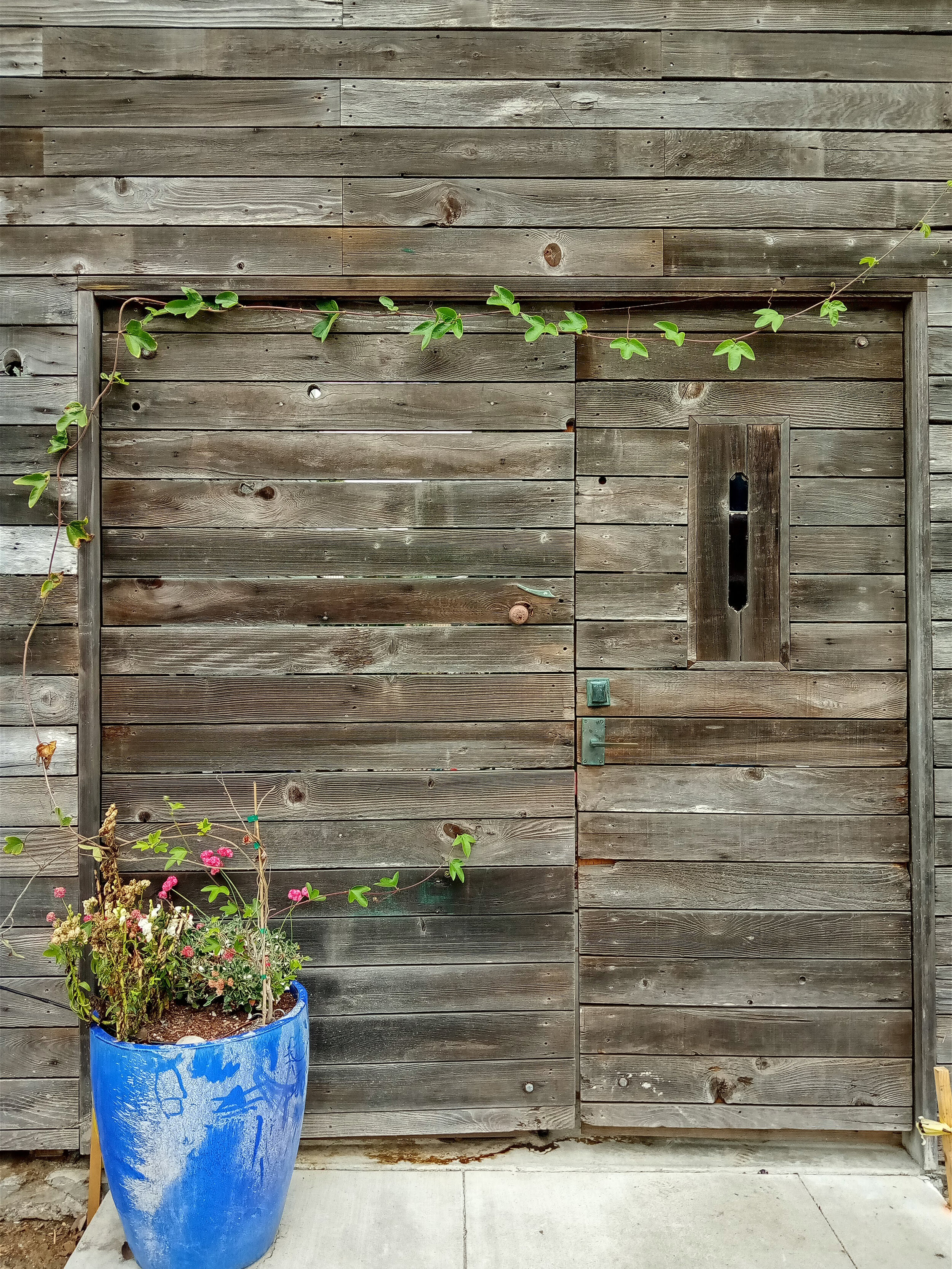 door wood outer sunset.jpg