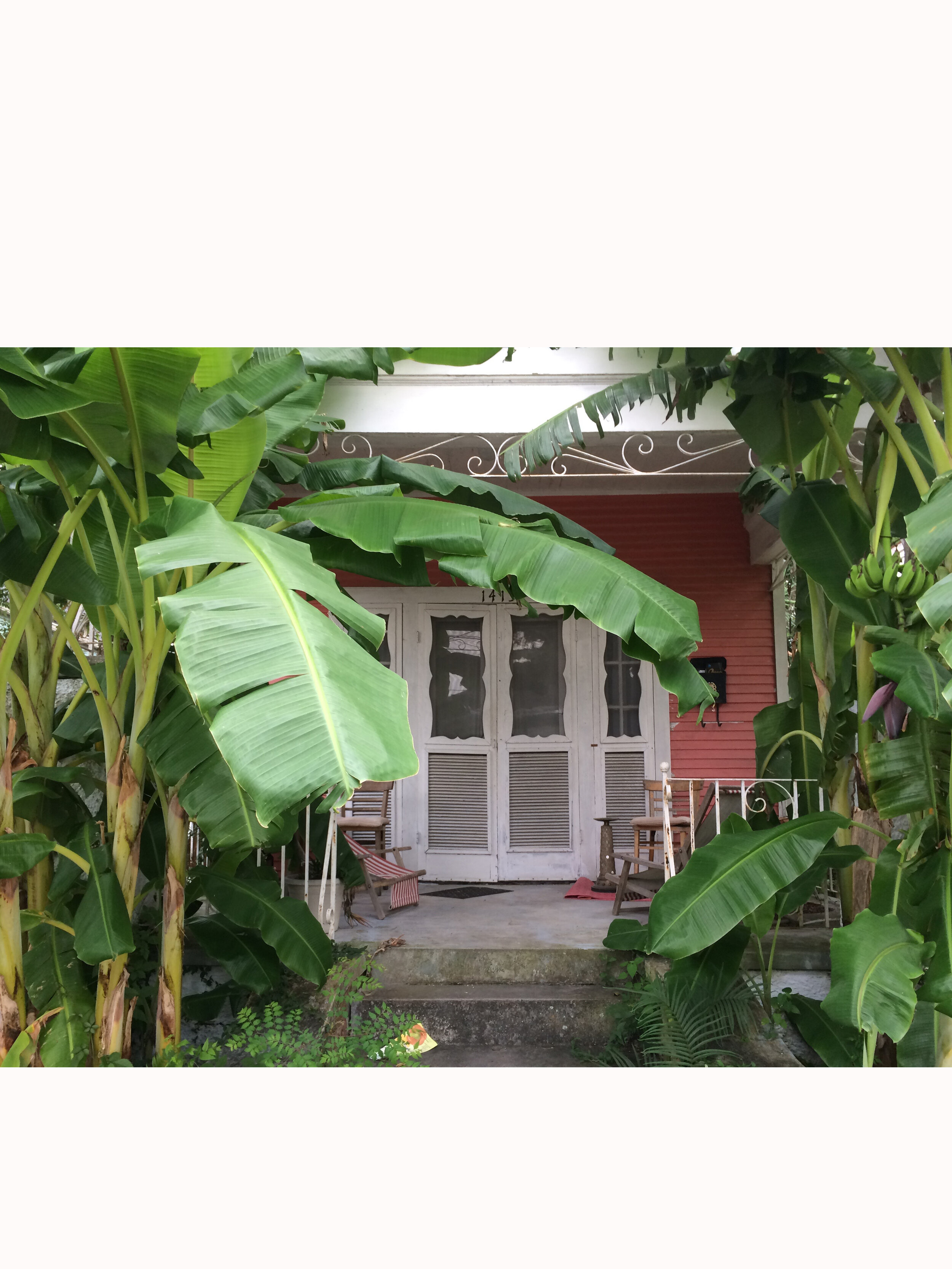 nola cottage product.jpg