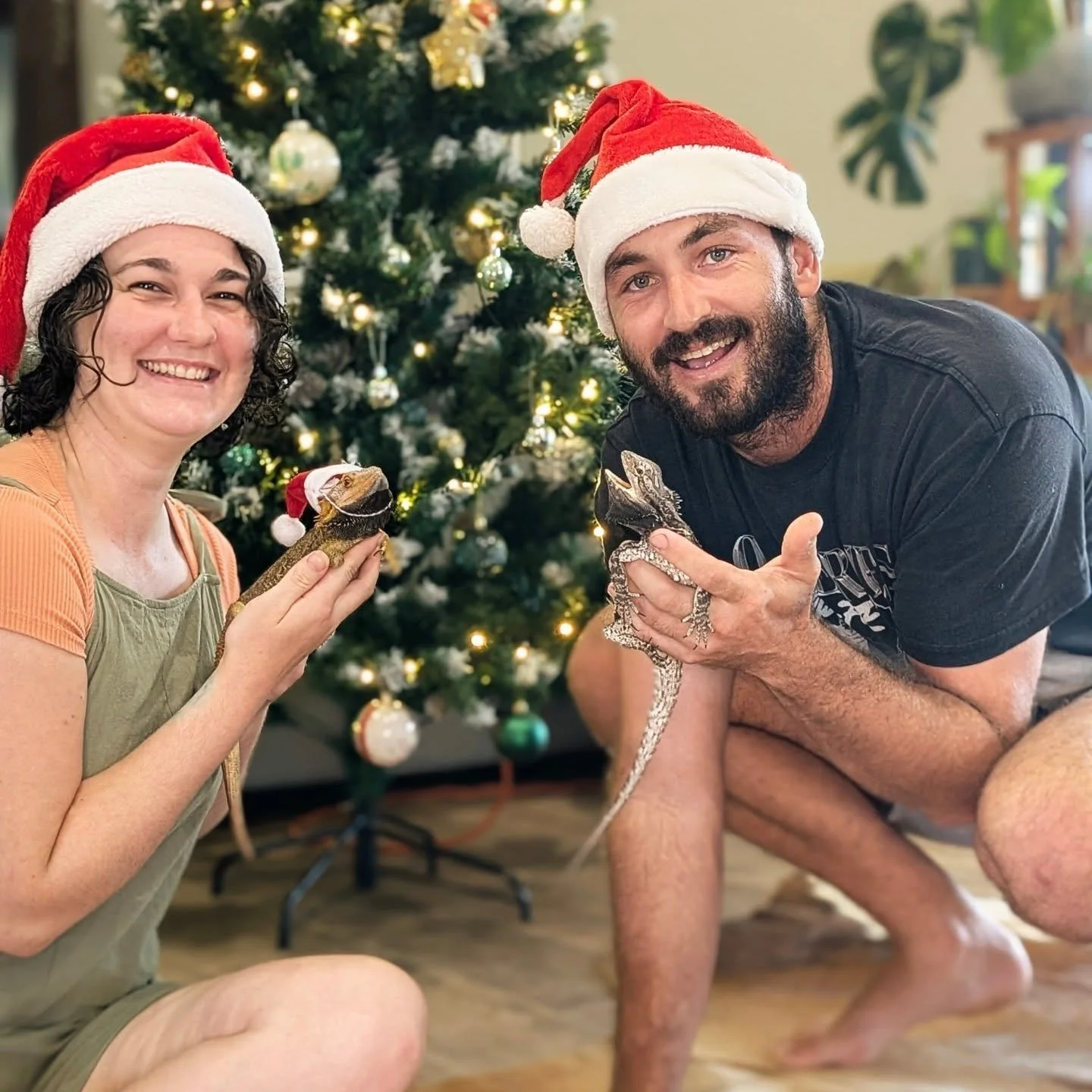 Merry Christmas from the crazy lizard/ chicken family. 🎄🦎🐓
First picture pretty well sums up the family dynamic with Miss Amaretto. . . We love her, she tolerates us 😅 

#merrychristmas #lizards #chickens #family #scalebabies #featherbabies