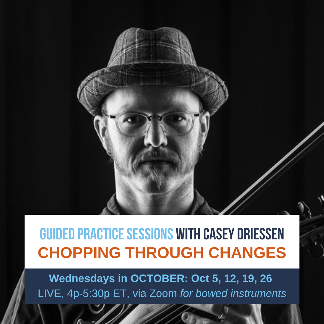 Guided Practice Sessions