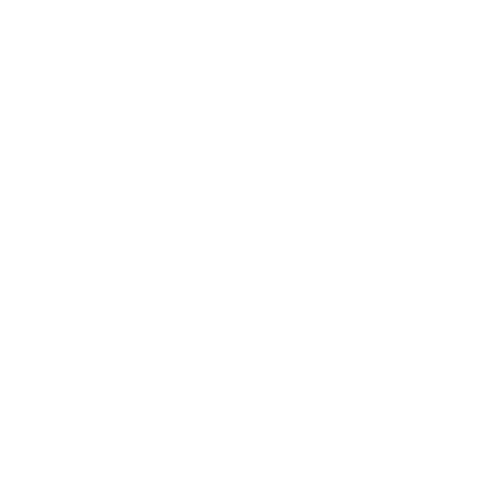 Guided Practice Sessions