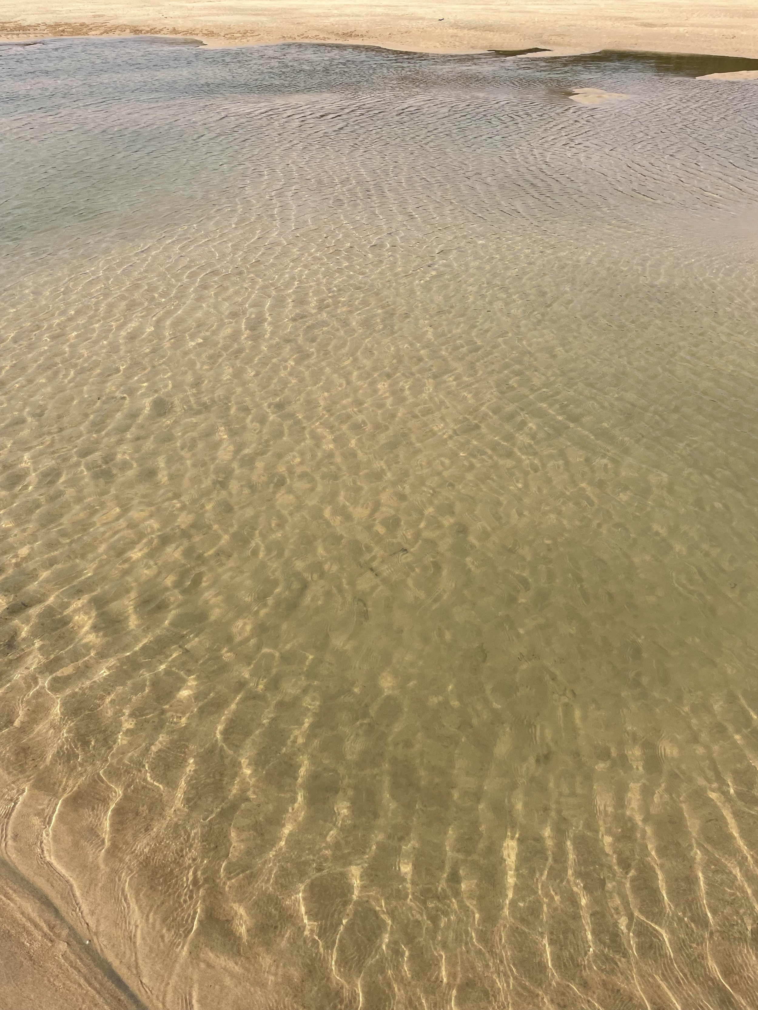Annalee Atia Beach 4.jpeg