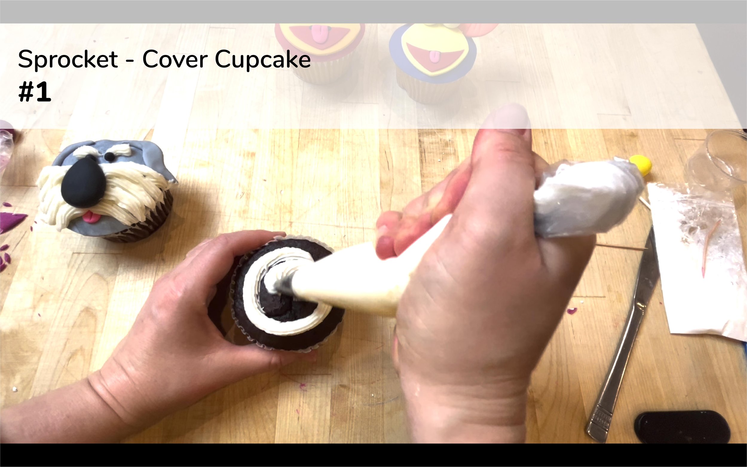 Sprocket Steps-01.jpg