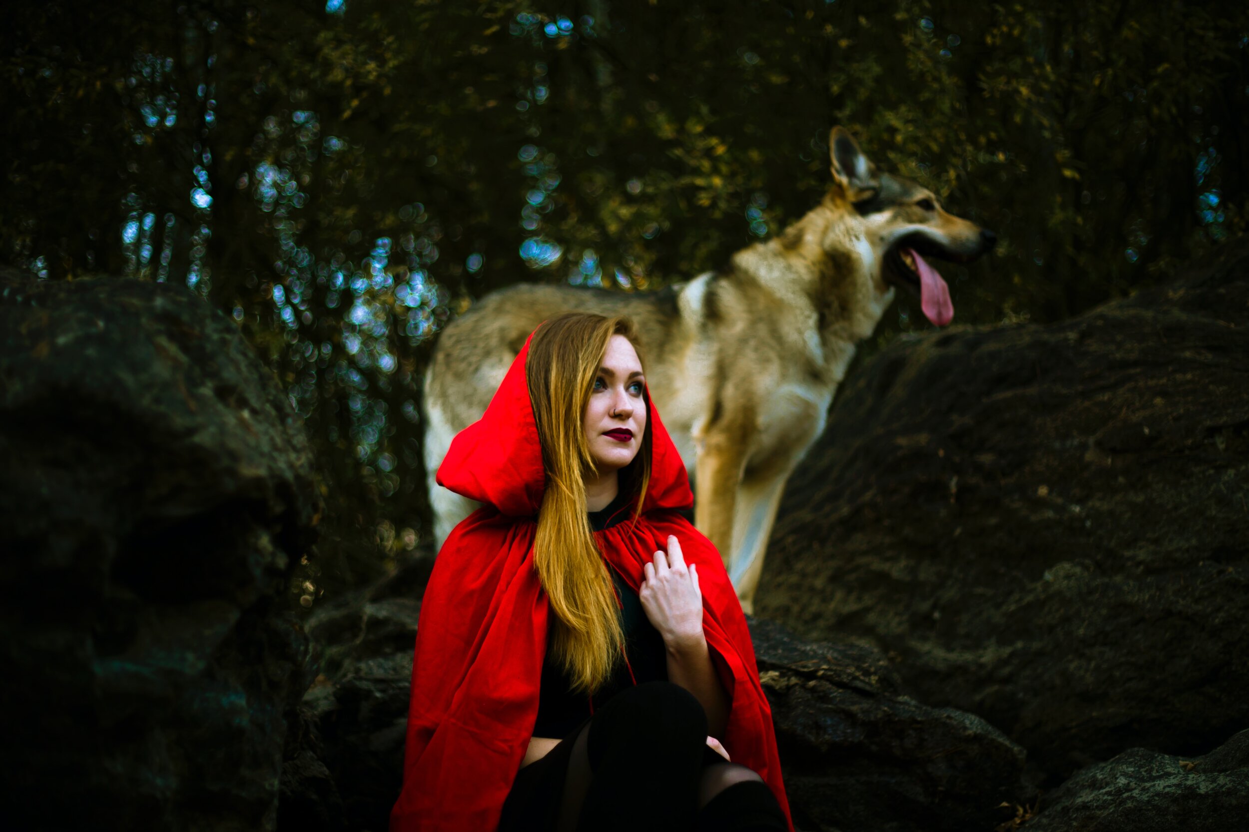 Why little red riding hood didn’t know that the wolf was dangerous