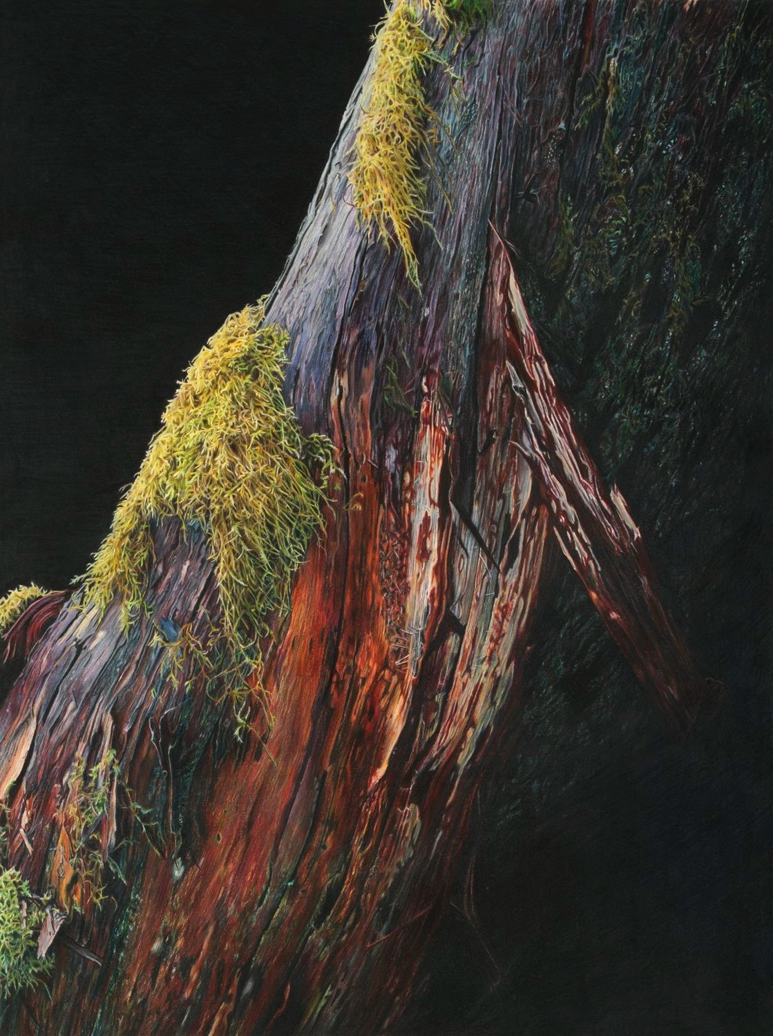 Moss+and+Bark.jpg
