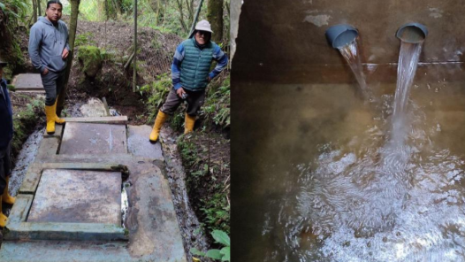 A young man and an elderly woman shake hands on a dirt path in a green, rural outdoor setting. The young man wears a green t-shirt, a black cap, sunglasses, and a backpack, while the elderly woman wears a white t-shirt with a graphic, a gray hat, and carries a backpack.