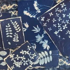 Cyanotype Summer Series #2: True Blue: Cyanotype Experimenting with Paper and Fabric