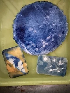 Cyanotype Summer Series #3: Out of the Blue: Wet Cyanotypes &amp; Toning