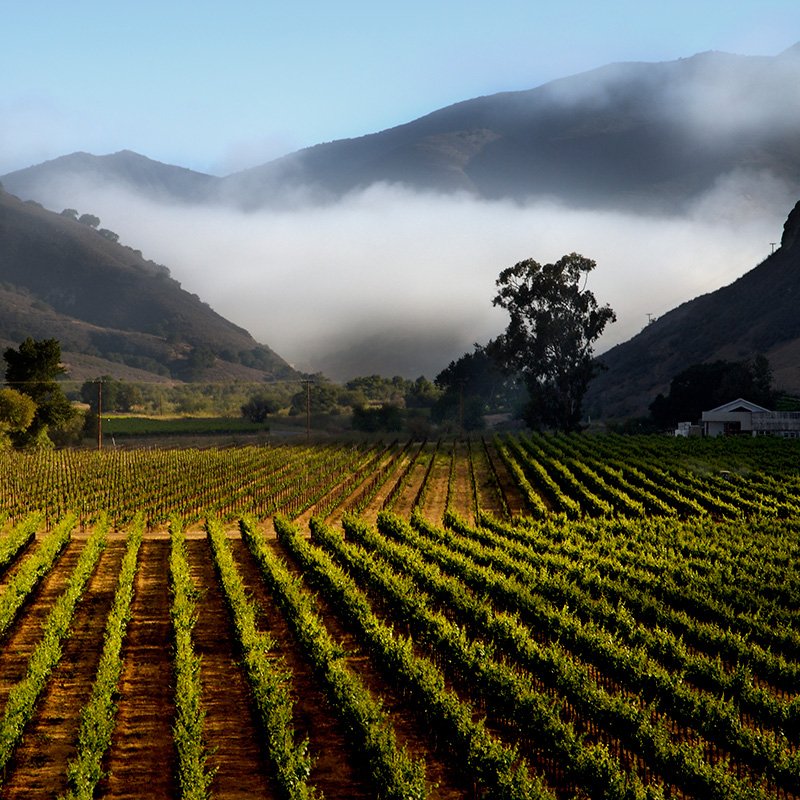 Experience Events — Saffron Communities