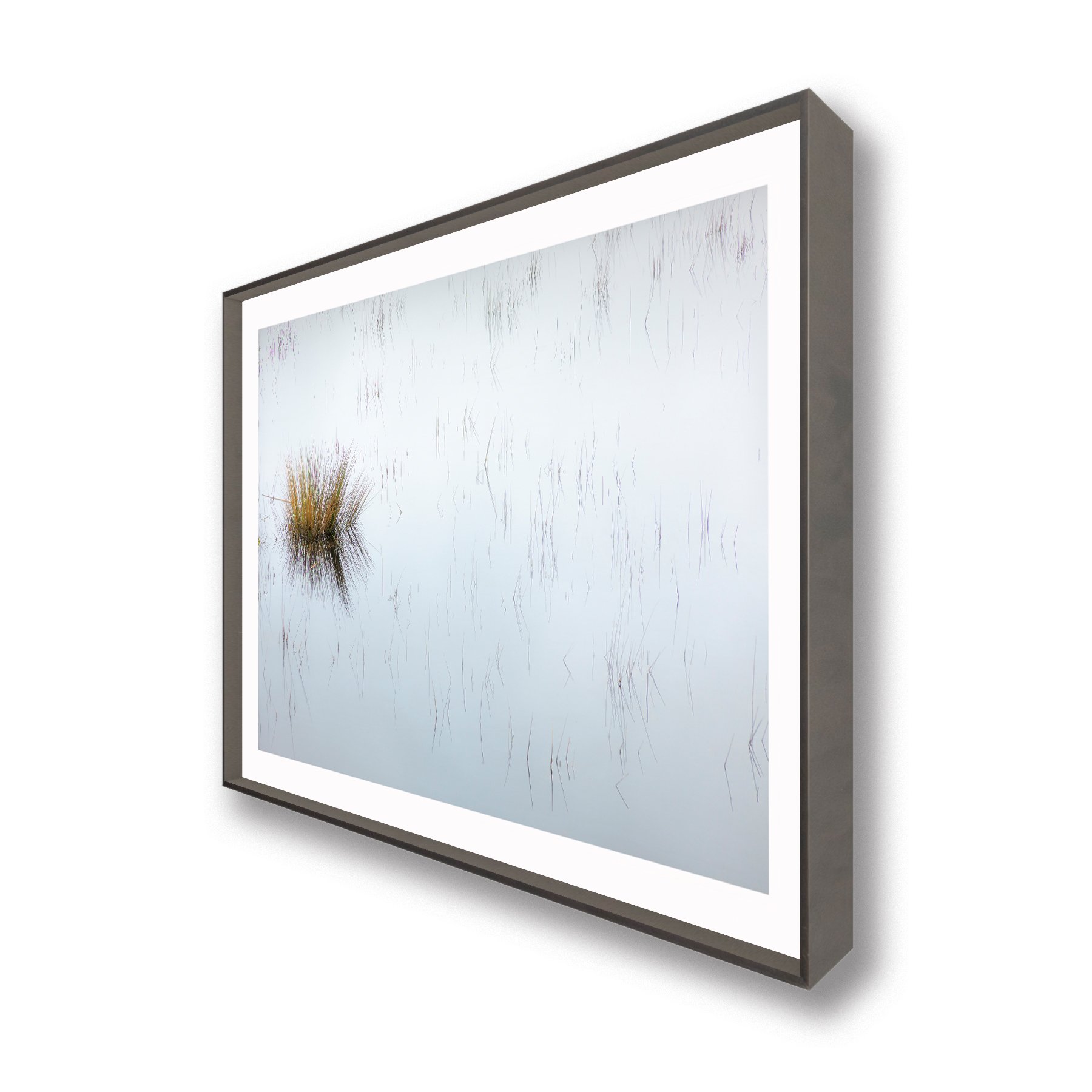 Bodega Marsh Grass 3:4 .jpg