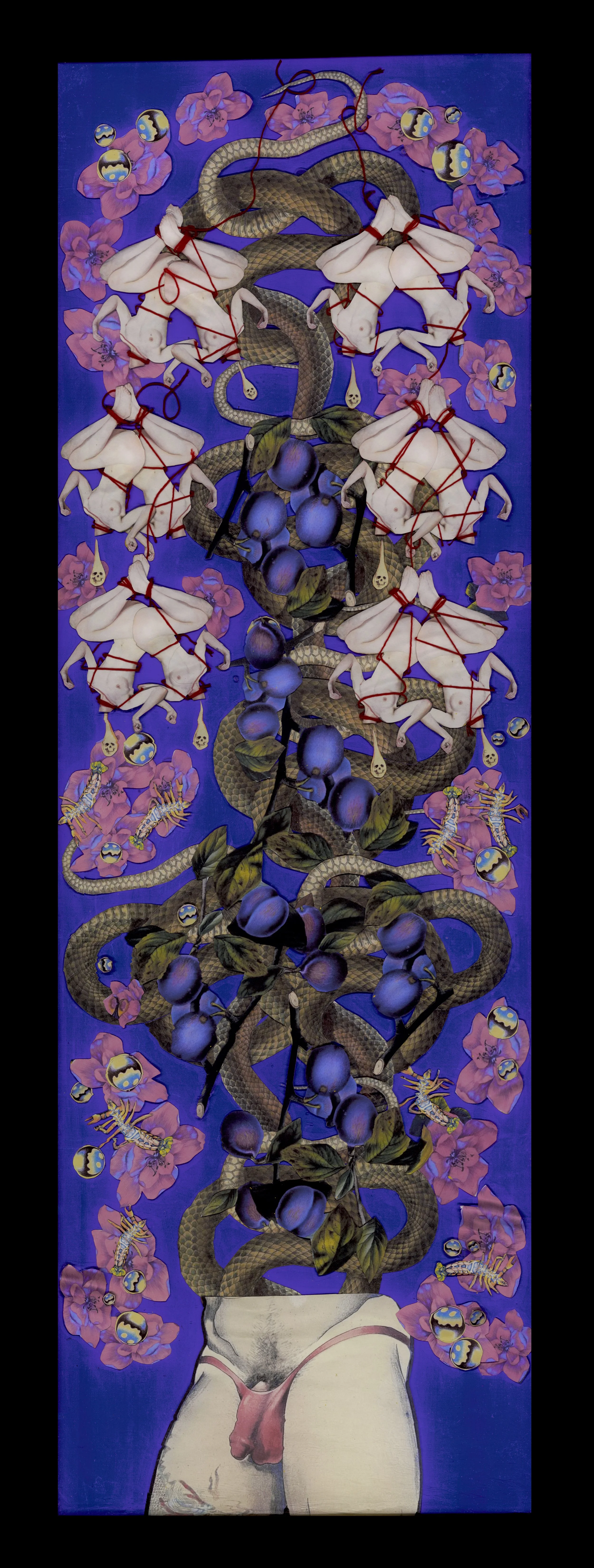 THE EMPEROR (USE BOTTOM HALF).jpg