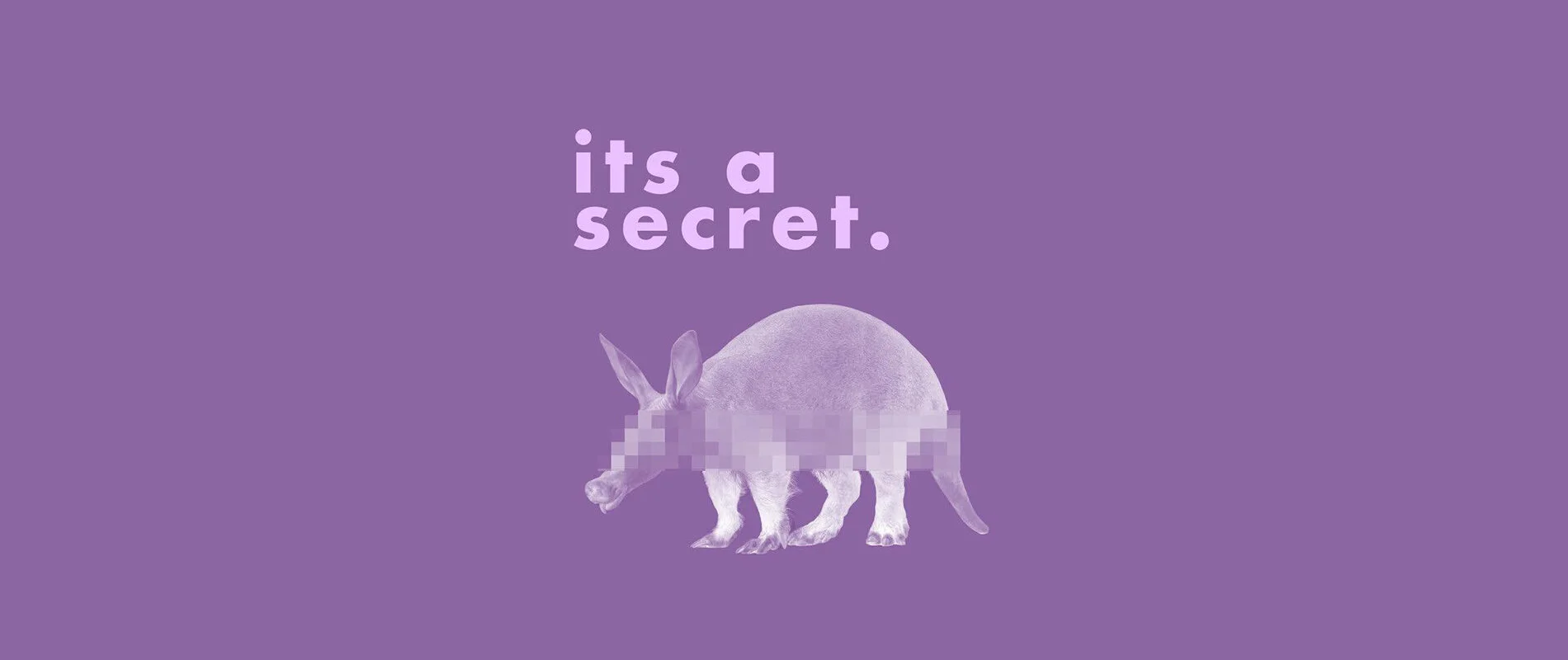 Secret Aardvark