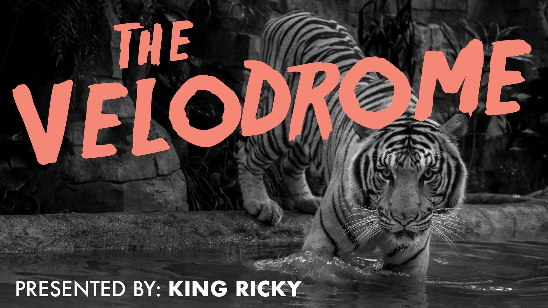 Velodrome: Hosted by King Ricky