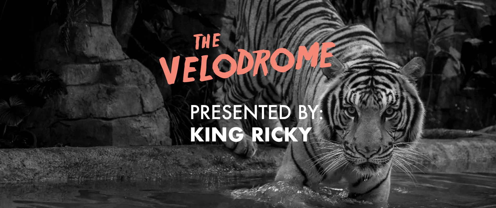 Velodrome: Hosted by King Ricky