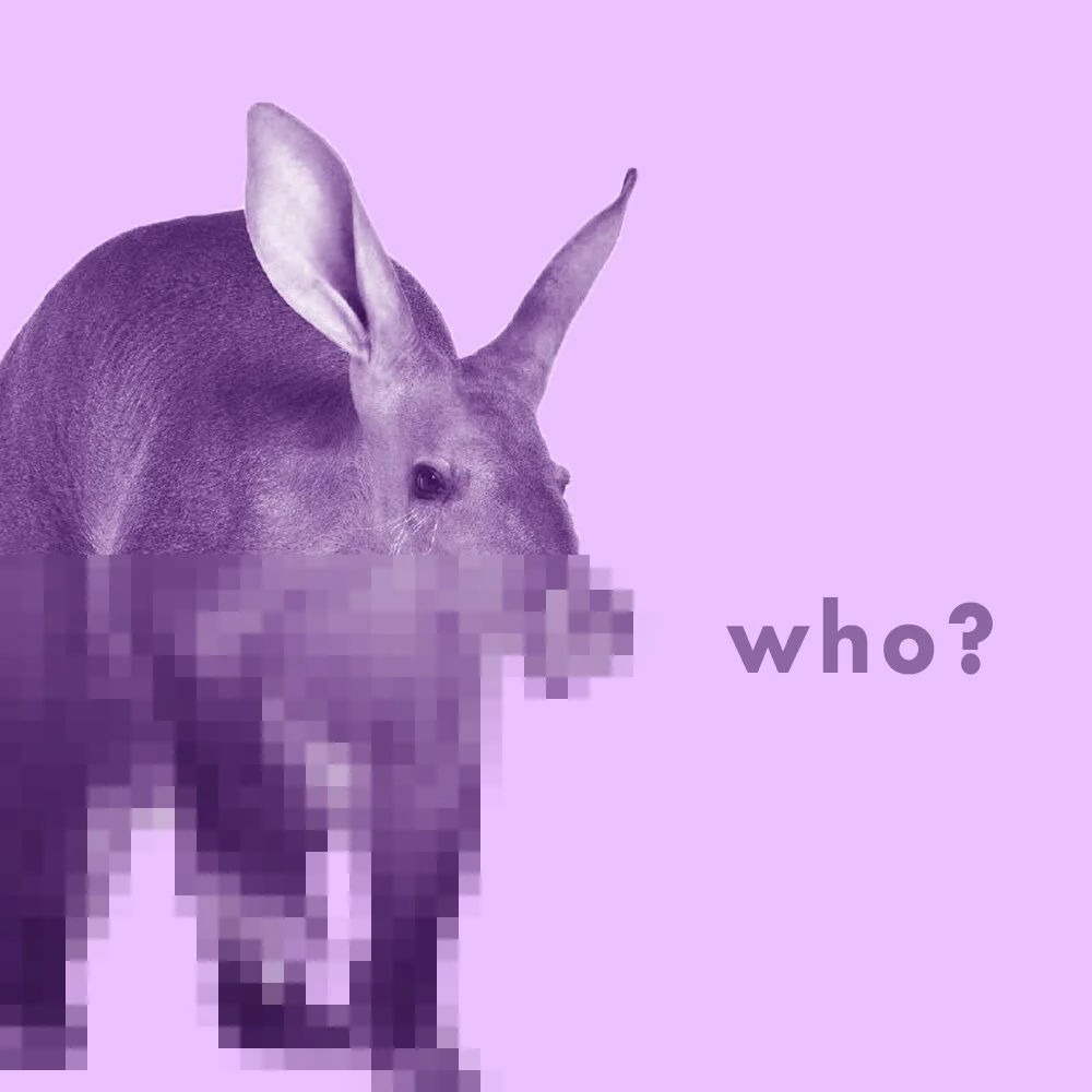 Secret Aardvark