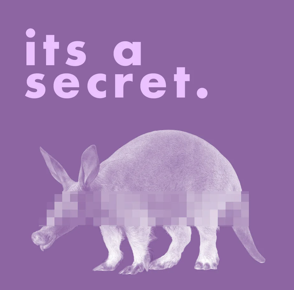 Secret Aardvark
