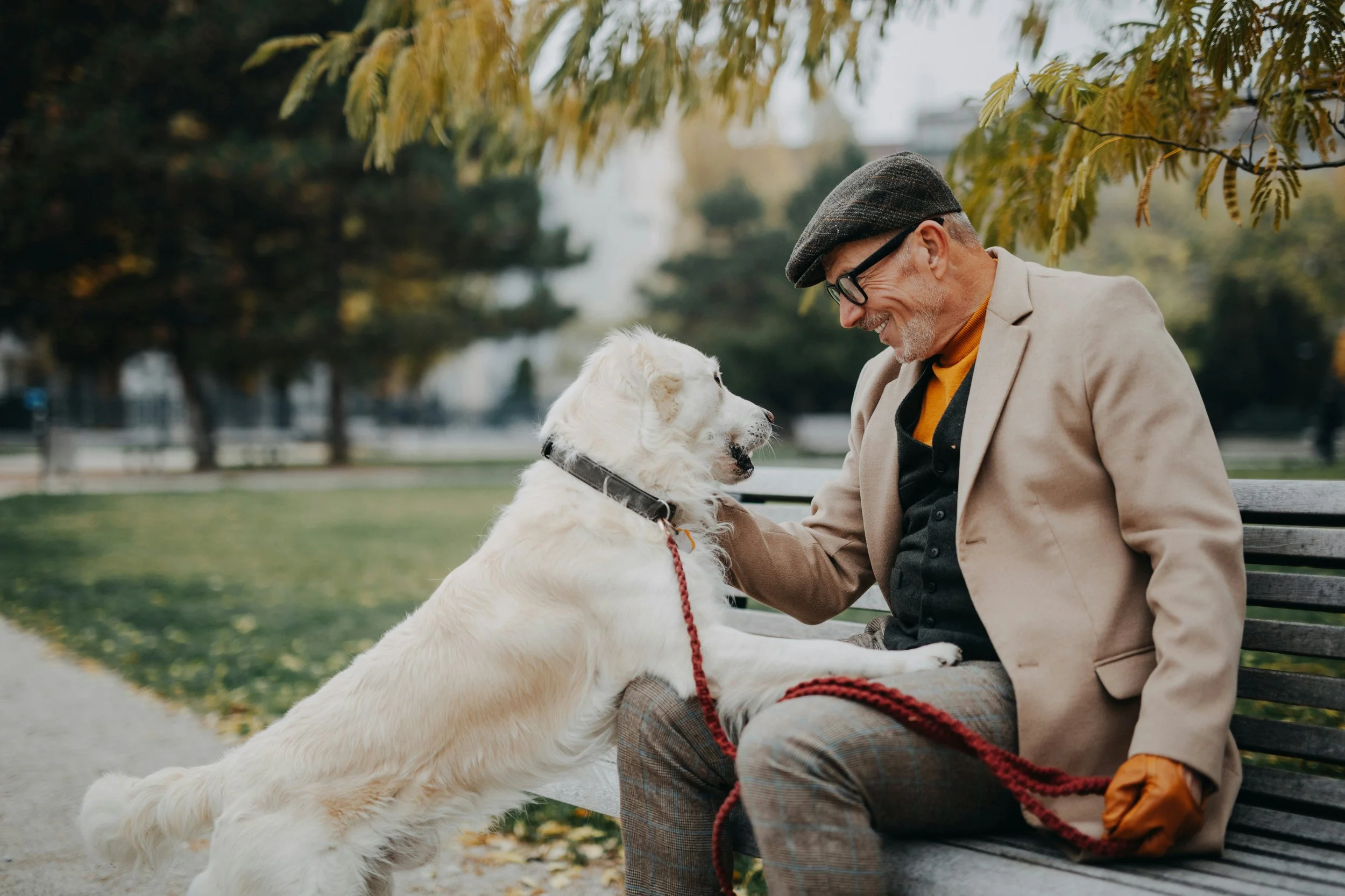 Older man in a cap and wearing a sport jacket sitting on a bench and petting white dog Sacramento California
