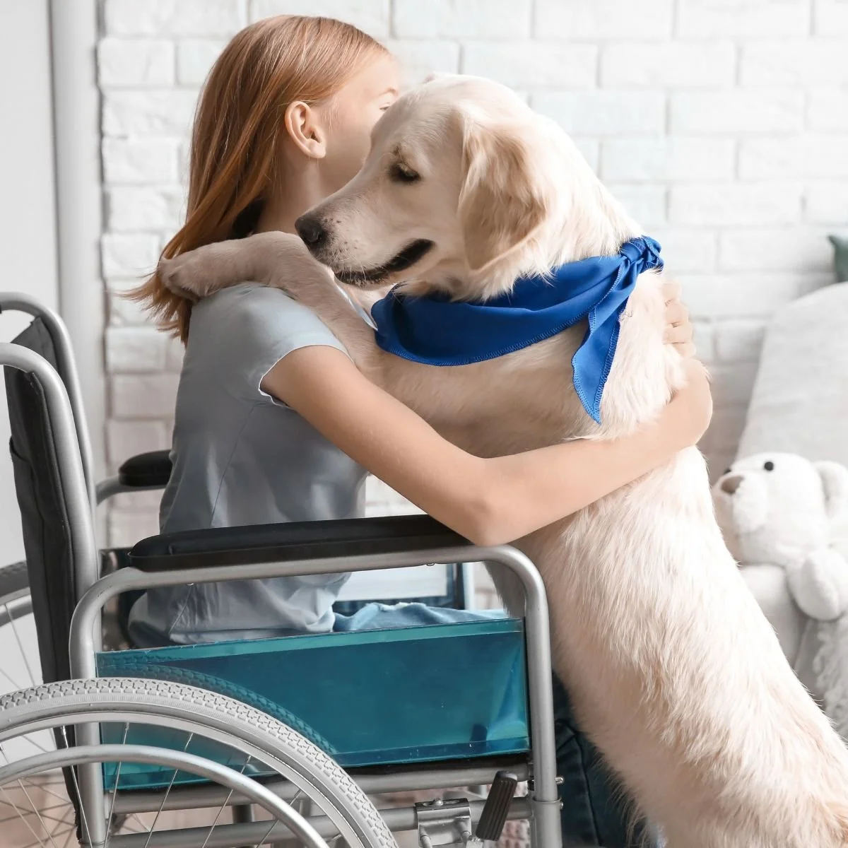 Young girl in a wheelchair with light colored service dog  and blue ribbonSacramento California Property Management