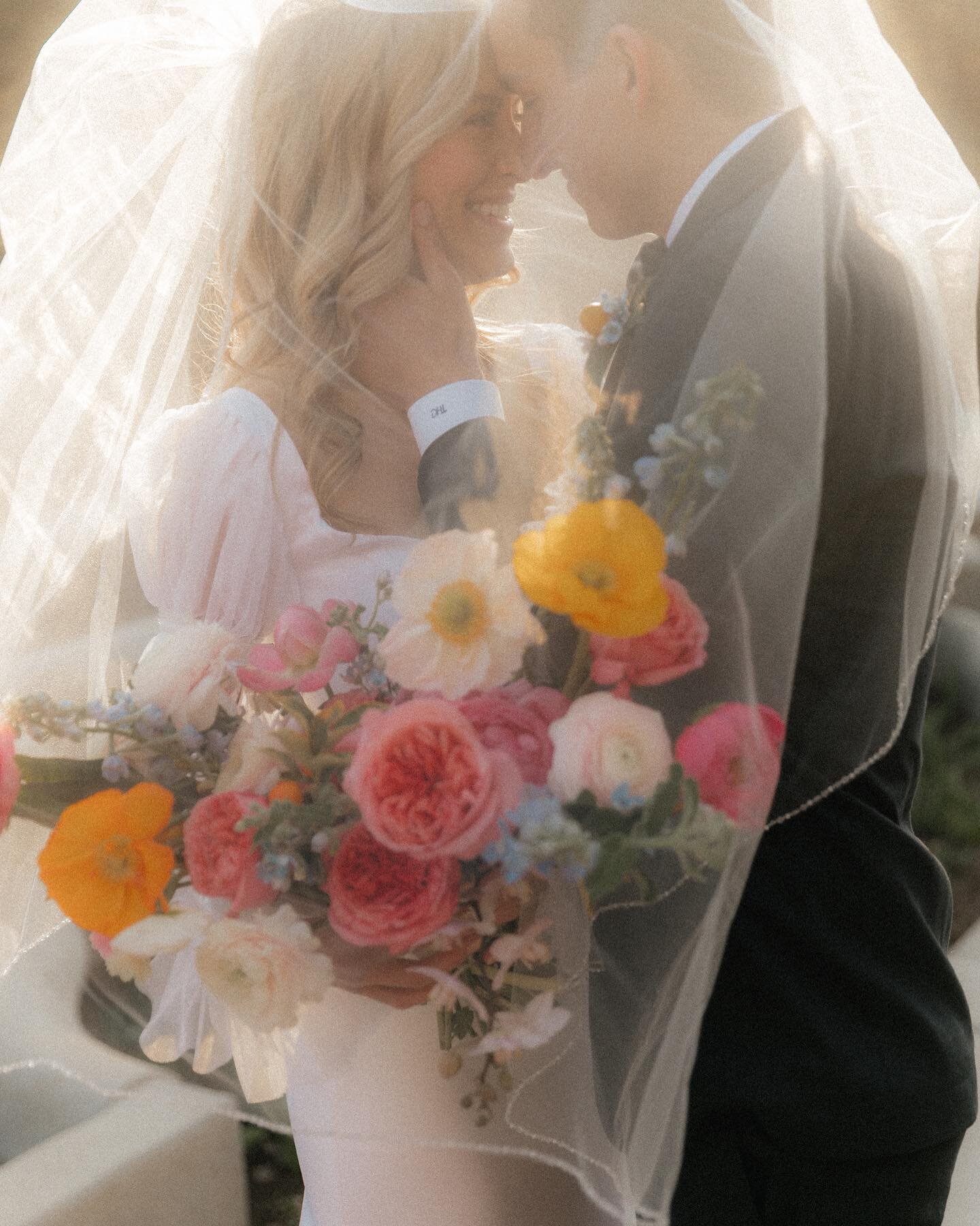 Real Bride Bliss ✨ Our beautiful #frankiejanebride in a beautiful custom sleeve 

#realbride #weddingdress #weddingdressinspo #utahweddingphotography #utahwedding #utahbridals #utahbridalshop #modestweddingdress