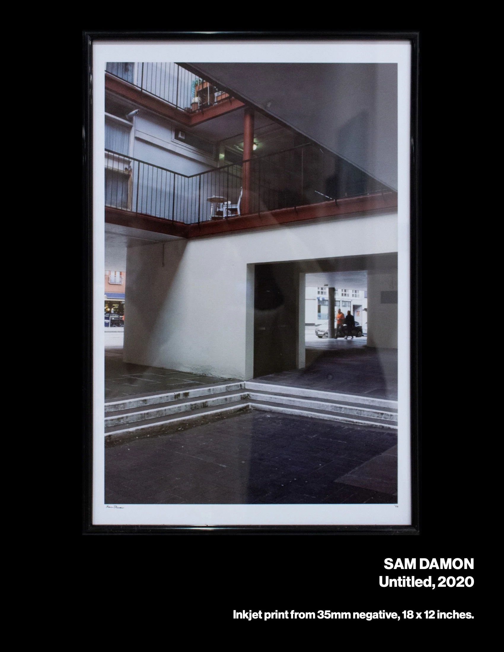 sowed3cat-web 12.jpeg