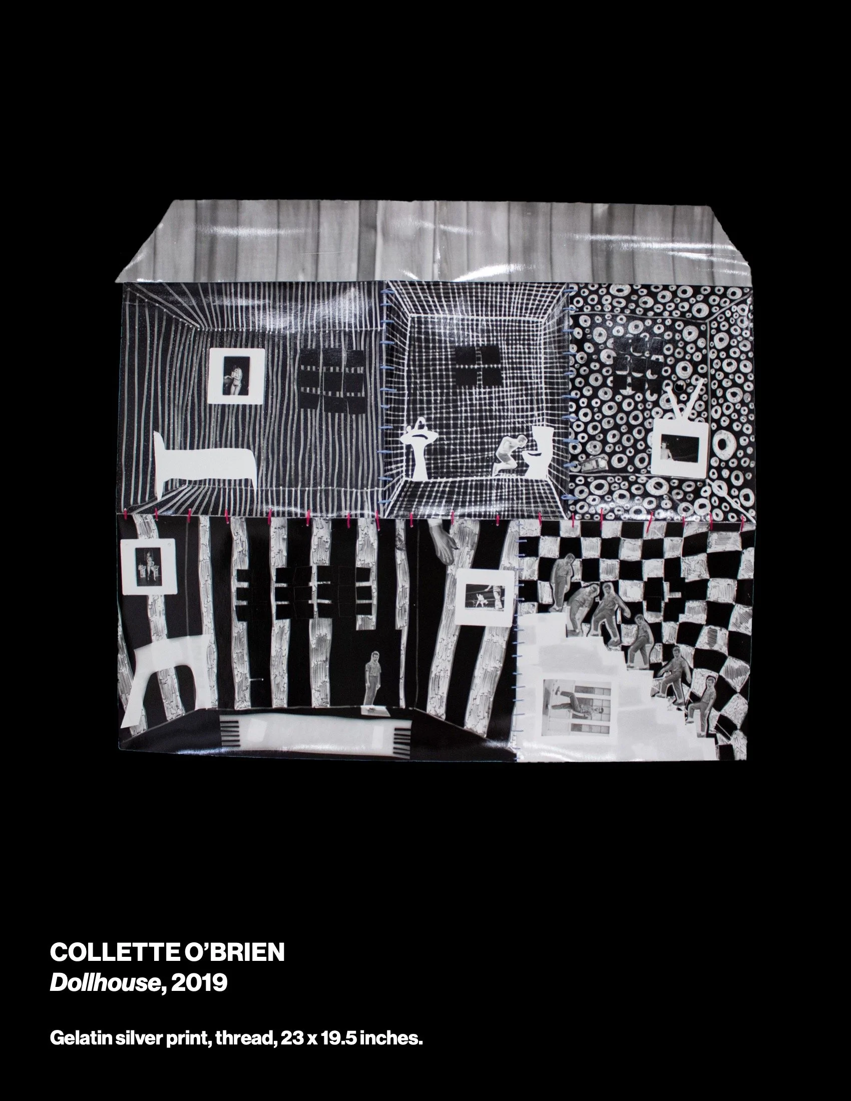 sowed3cat-web 17.jpeg