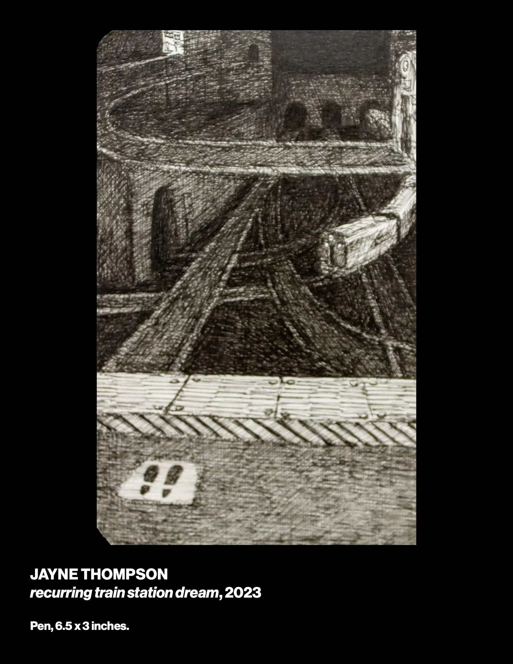 sowed3cat-web 19.jpeg