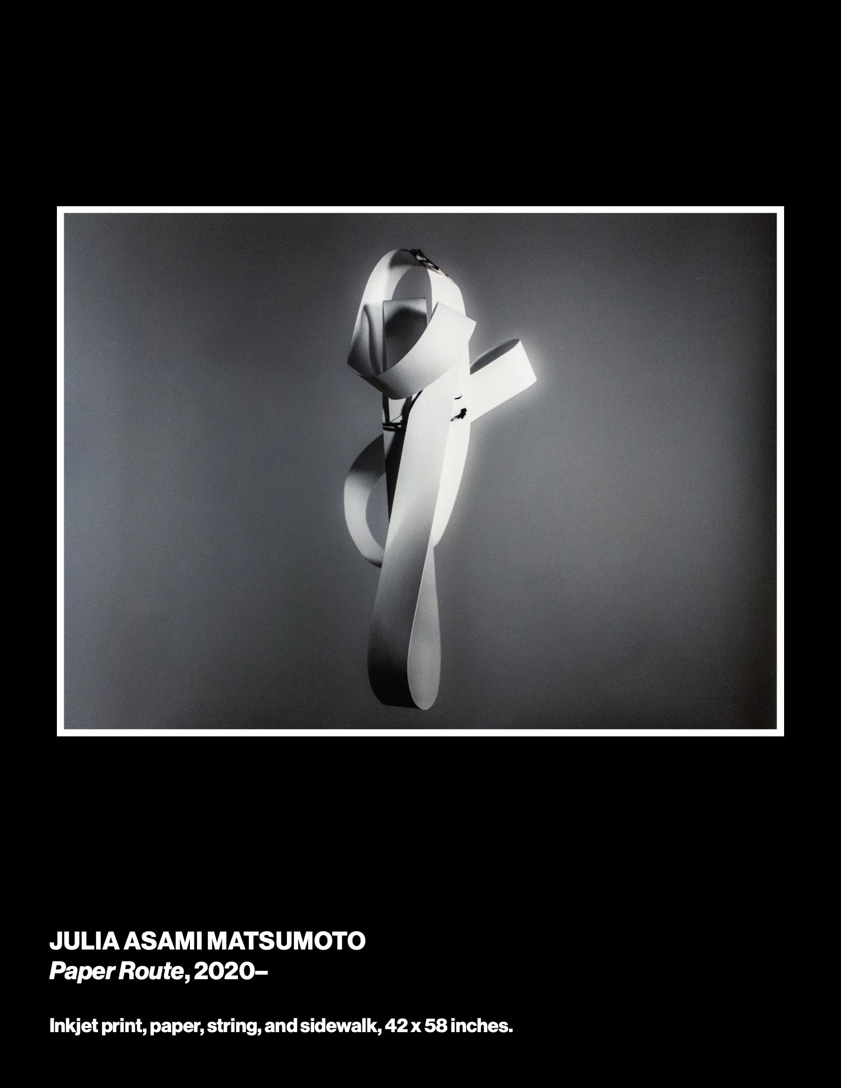 sowed3cat-web 5.jpeg