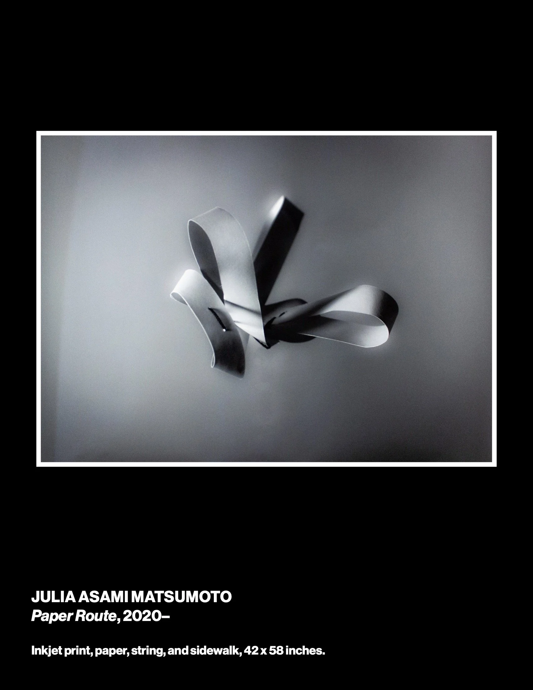 sowed3cat-web 3.jpeg