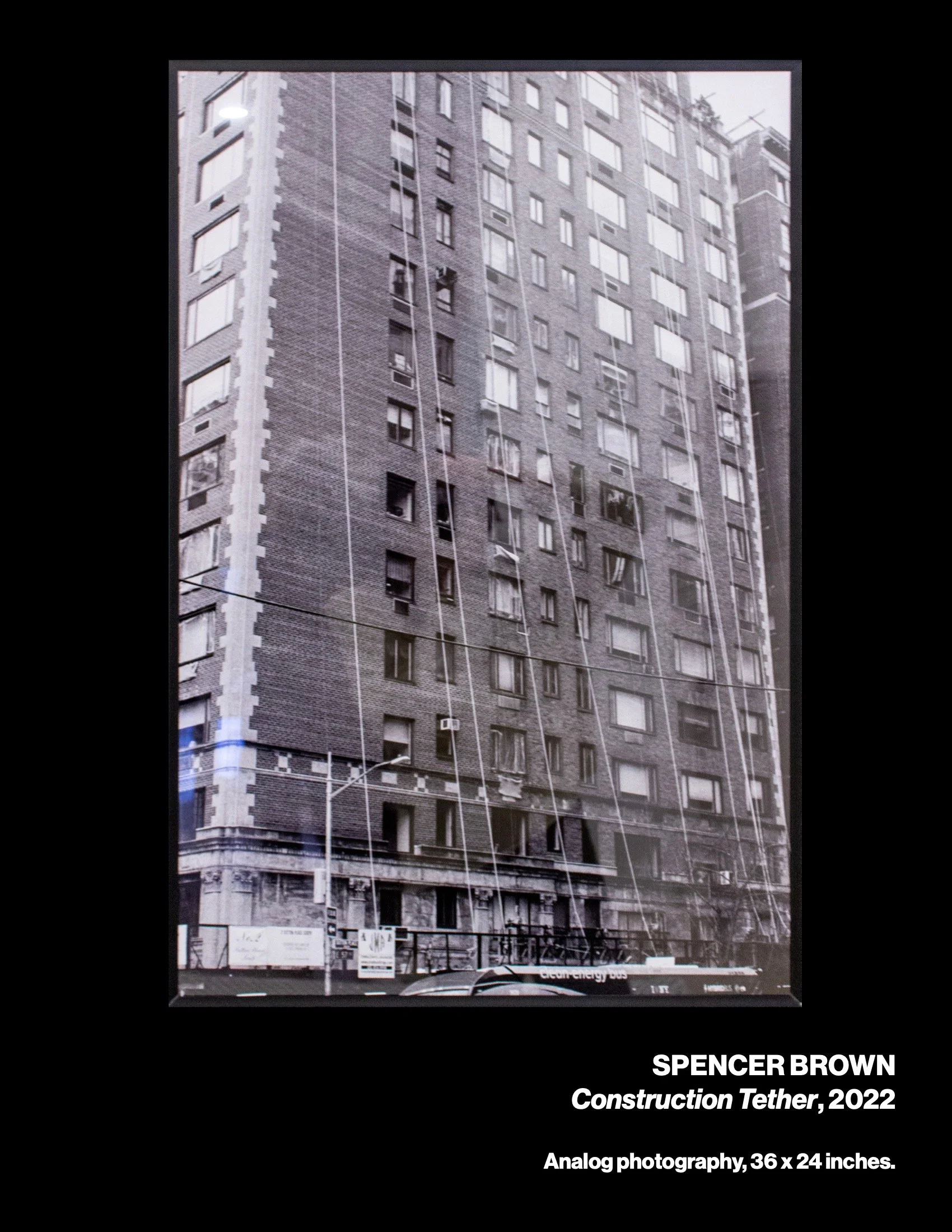 sowed3cat-web 6.jpeg