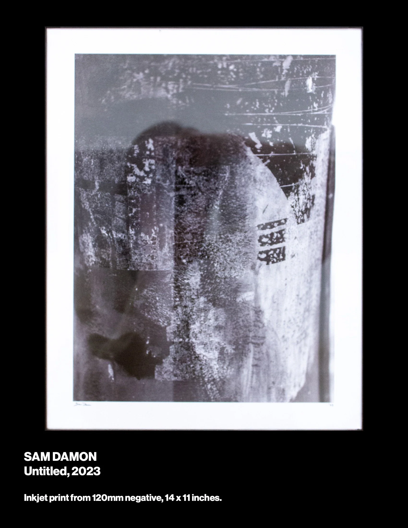 sowed3cat-web 11.jpeg