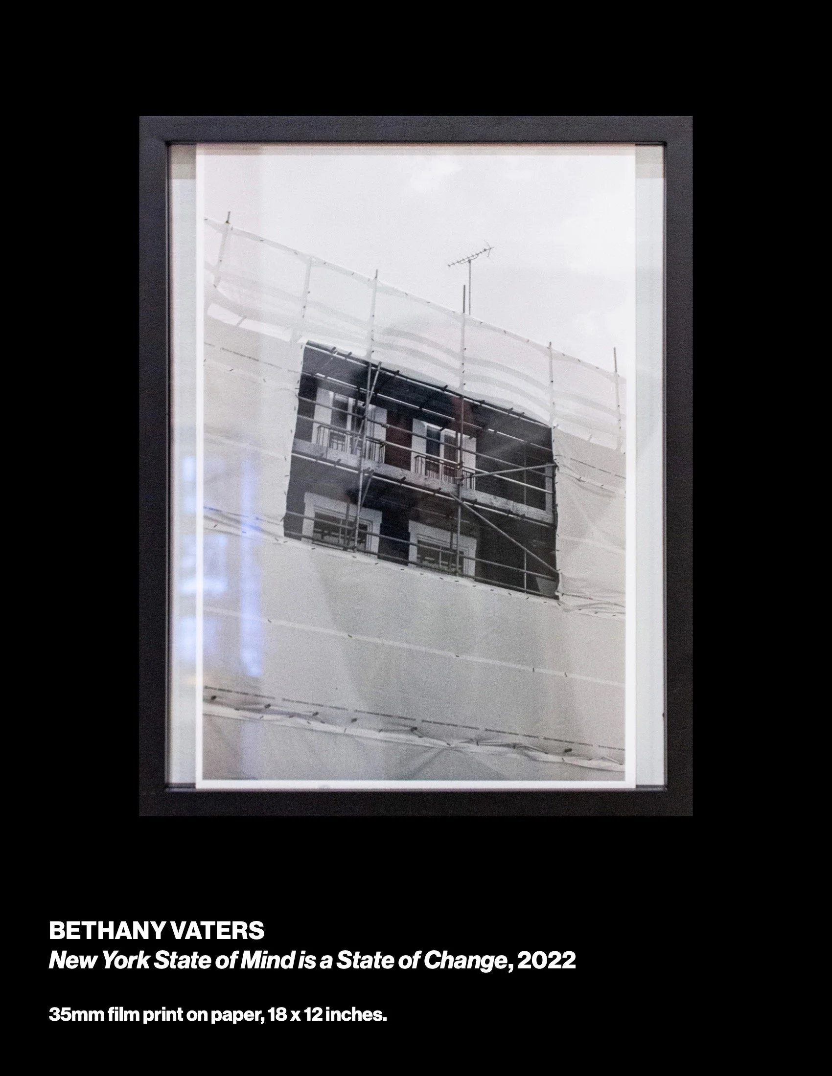 sowed3cat-web 23.jpeg