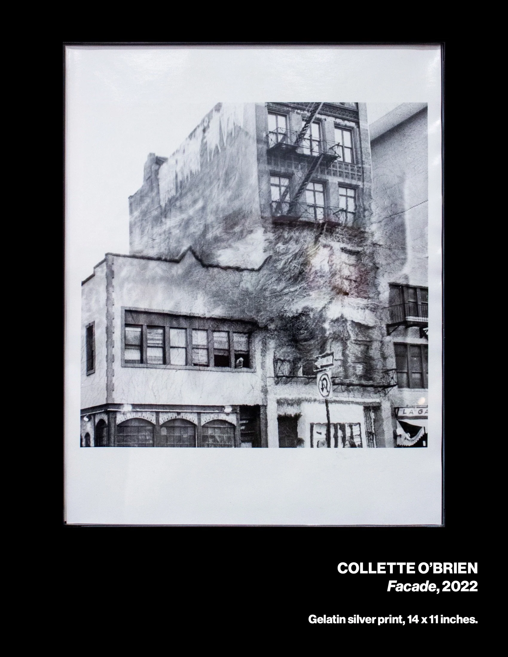 sowed3cat-web 18.jpeg