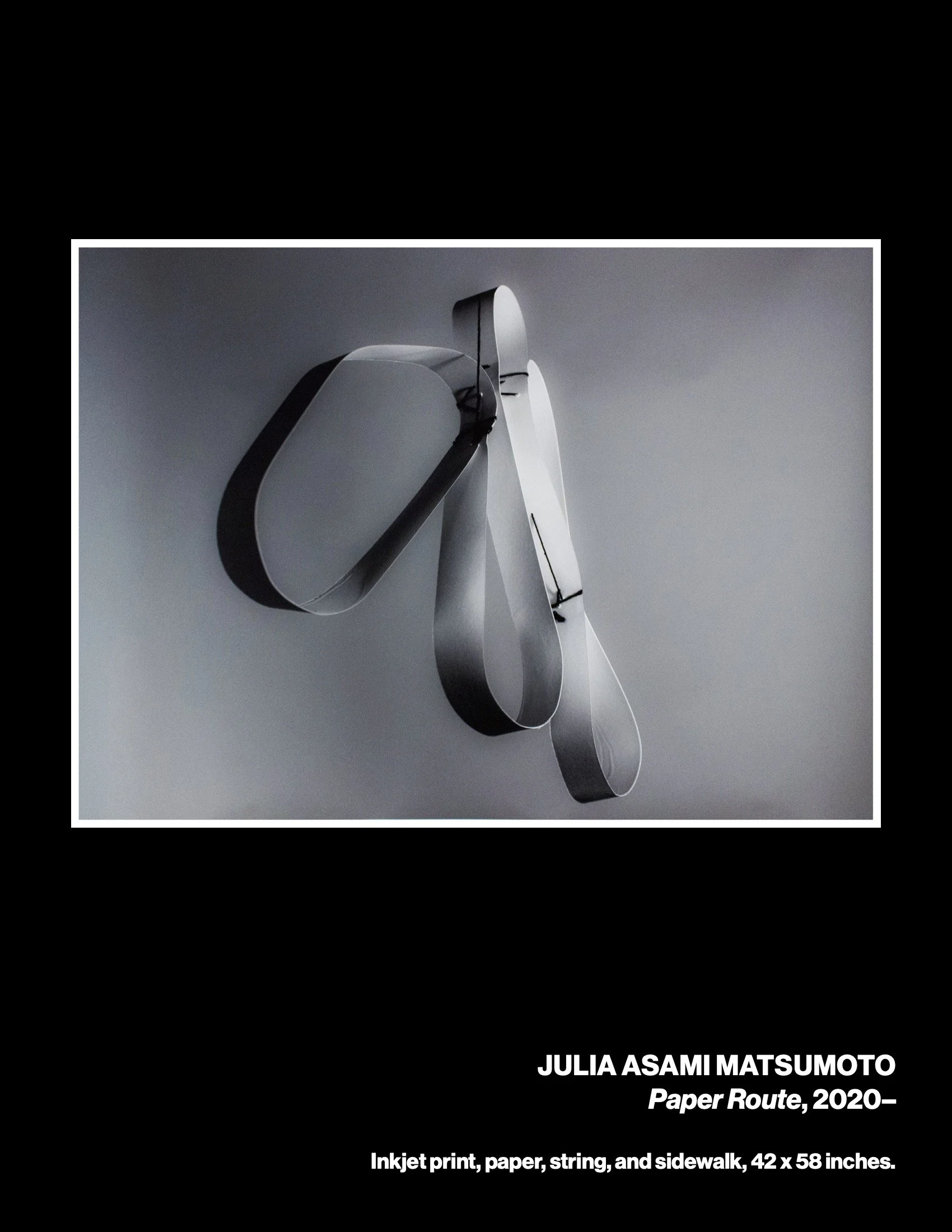 sowed3cat-web 4.jpeg