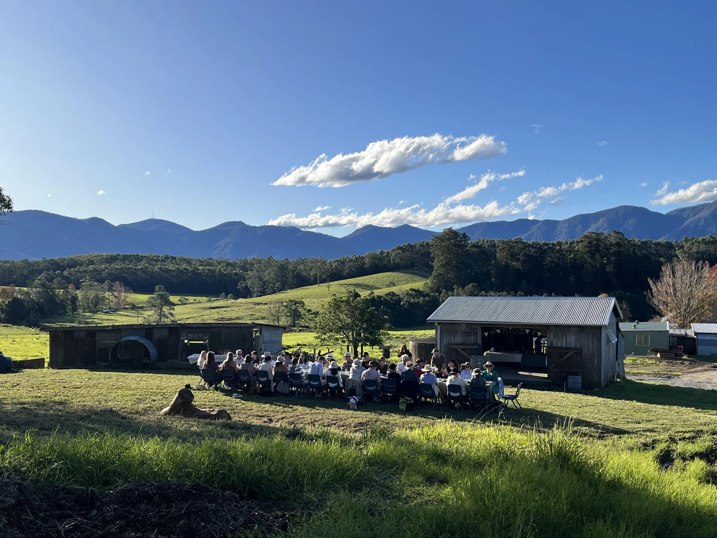 Hilltop at Levenvale Farm Paddock to Plate Long Lunch — Levenvale Farm & Bello Beef