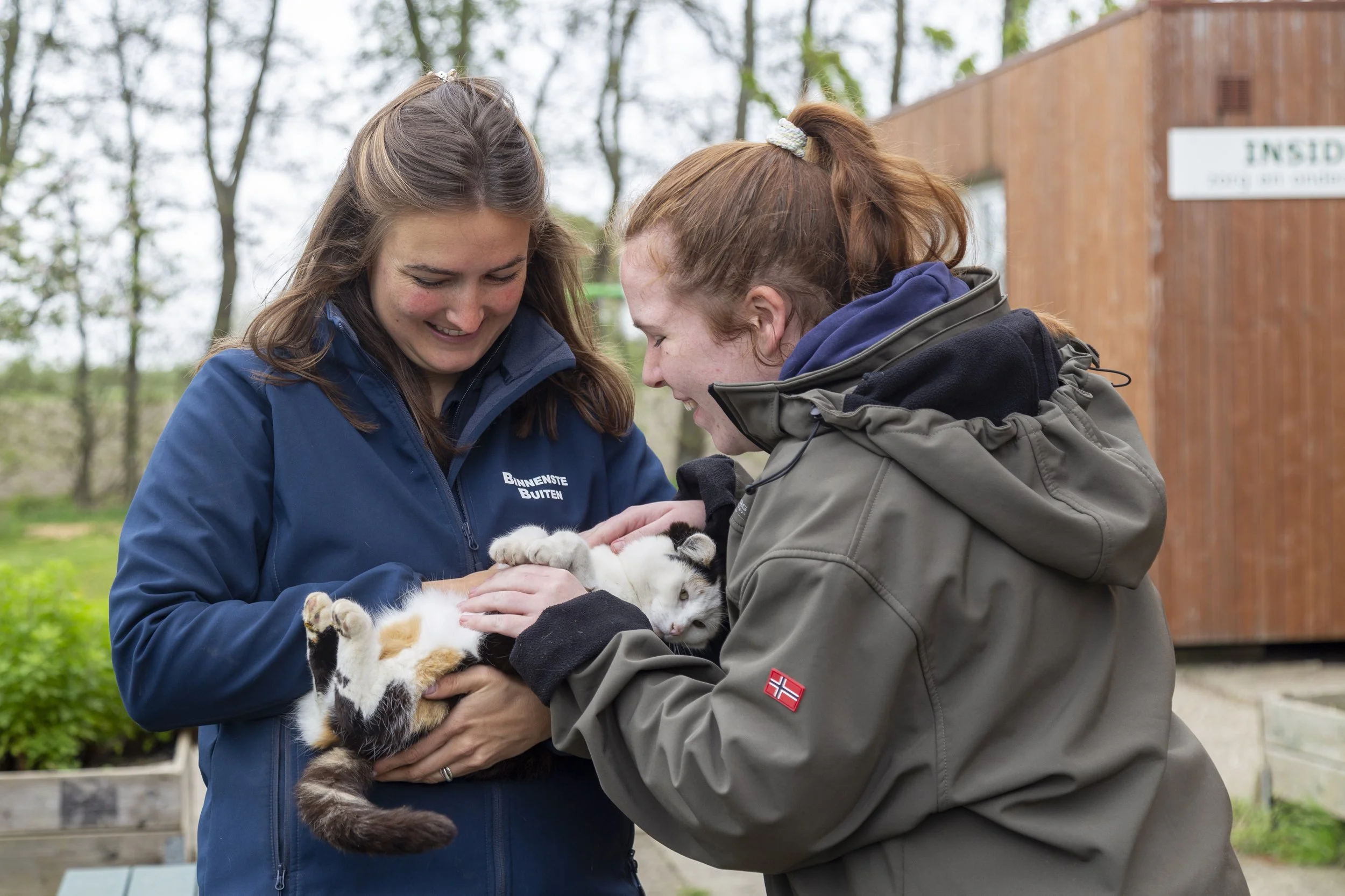 Twee vrouwen die een kitten vasthouden en bekijken, in een outdoor omgeving met bomen op de achtergrond.