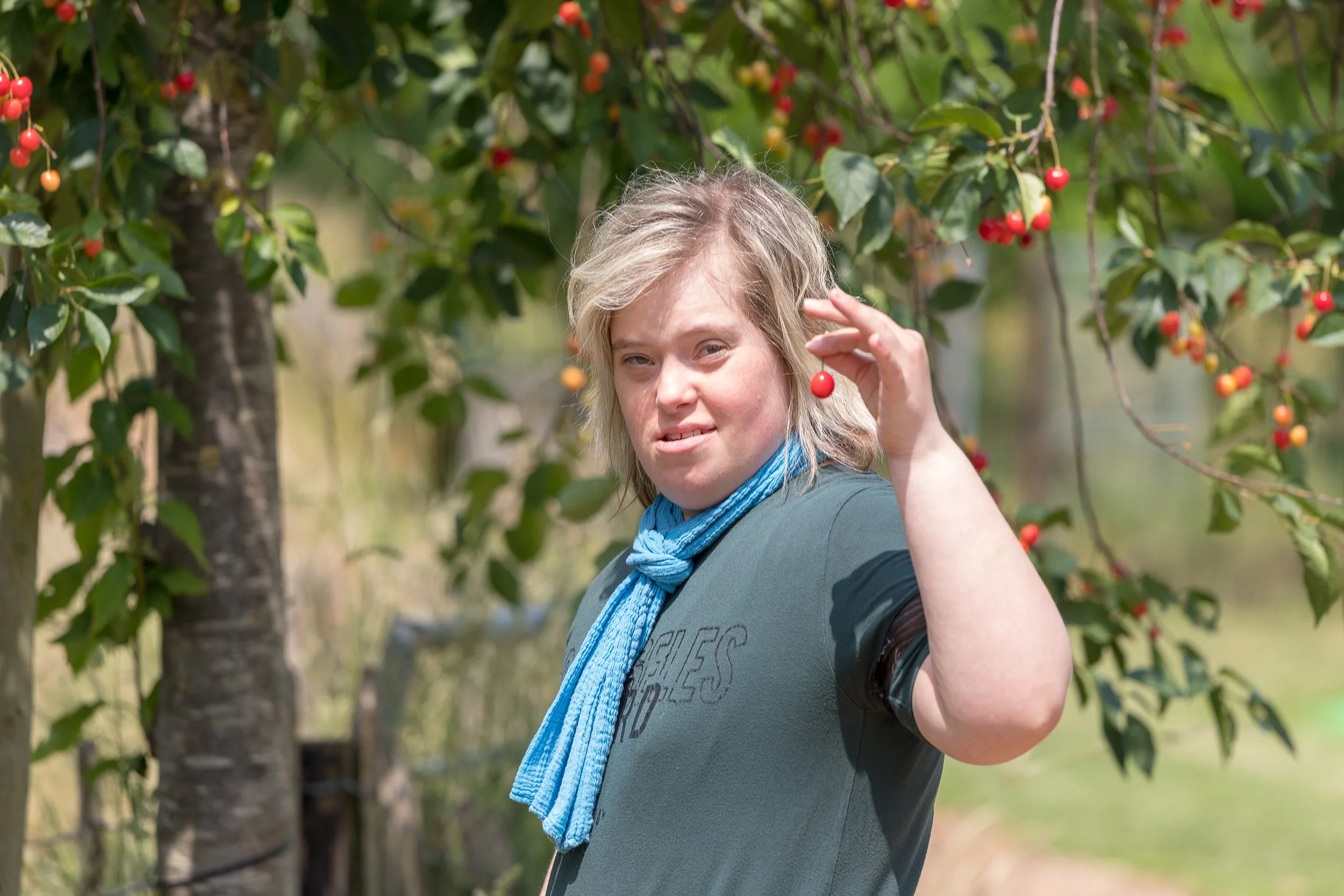Vrouw plukt een rode bes van een struik in een tuin of boomgaard.