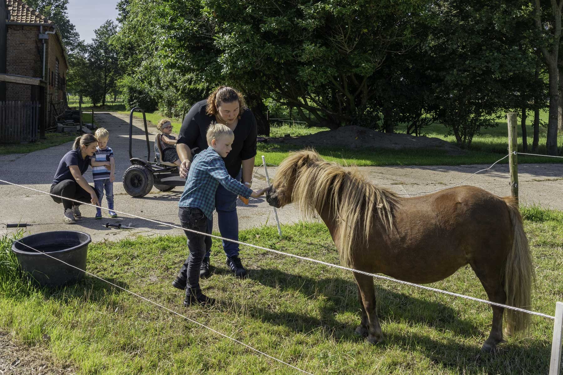 Kinderen en volwassenen voeren een pony in een buitenpaardenzicht, omgeven door een groene omgeving en een gebouw.