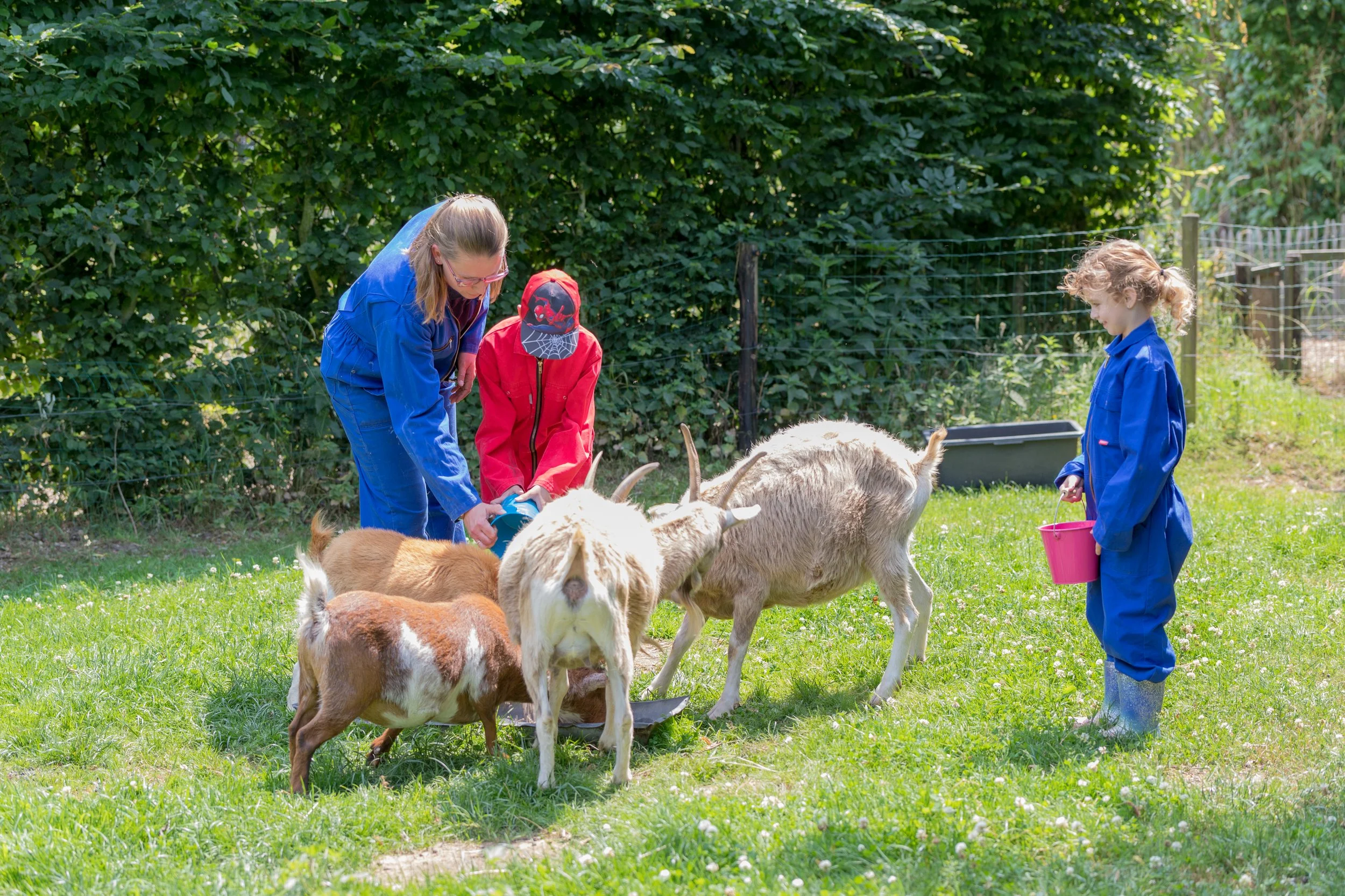 Twee kinderen en een volwassene voeren geiten in een groene boerderij.