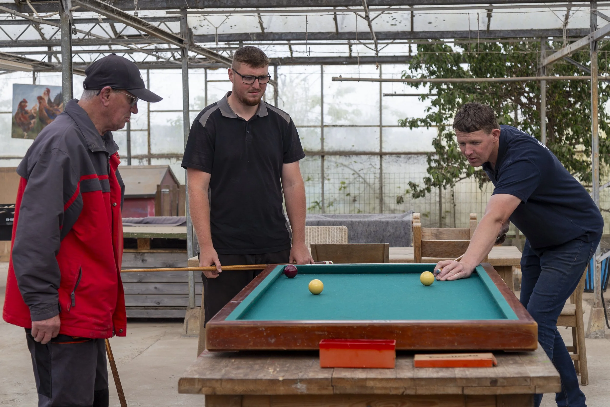 Drie mannen die poolen spelen in een serre met planten en houten meubels.