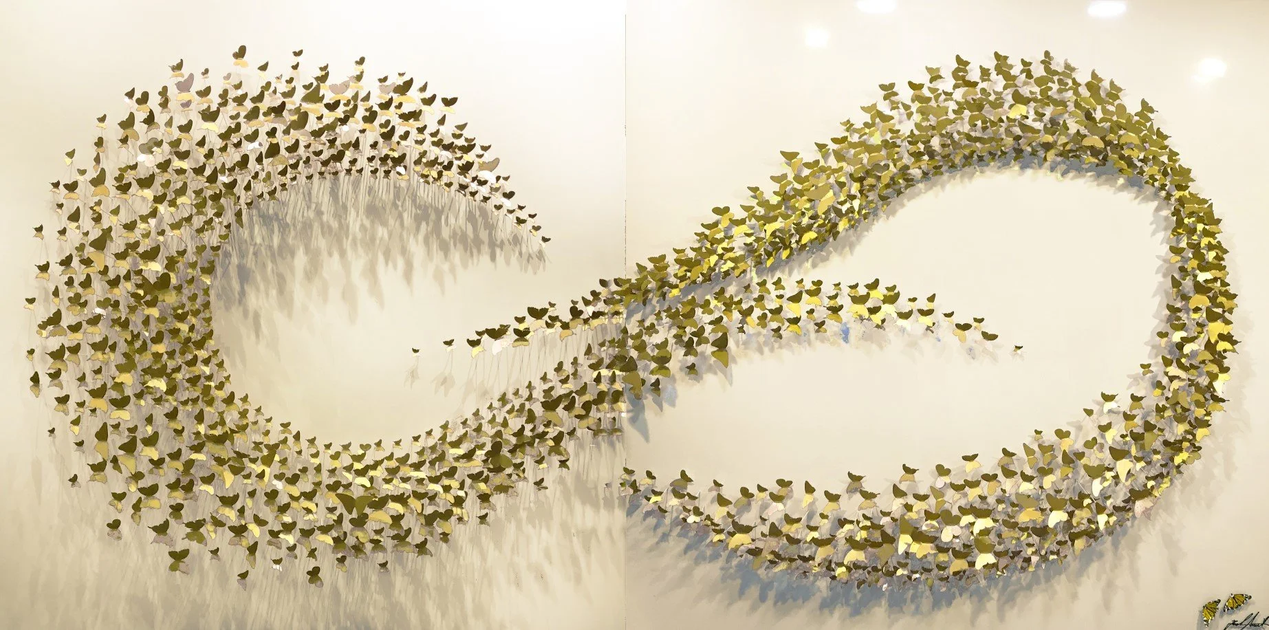 Infinity butterflies