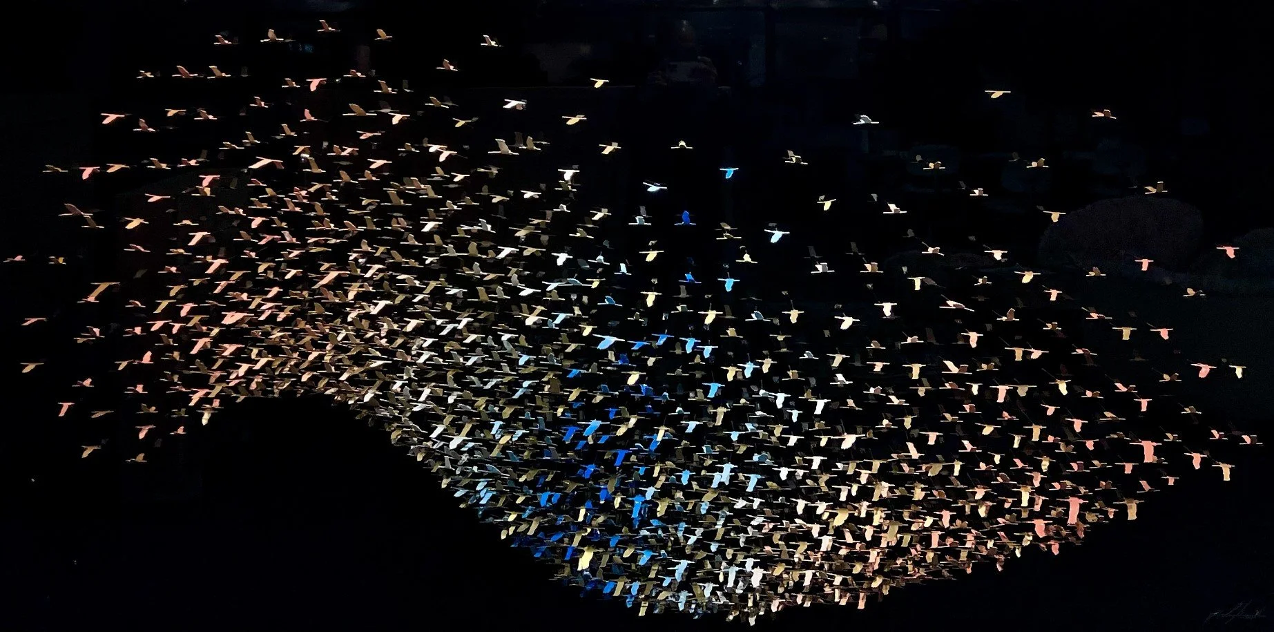 Fly
