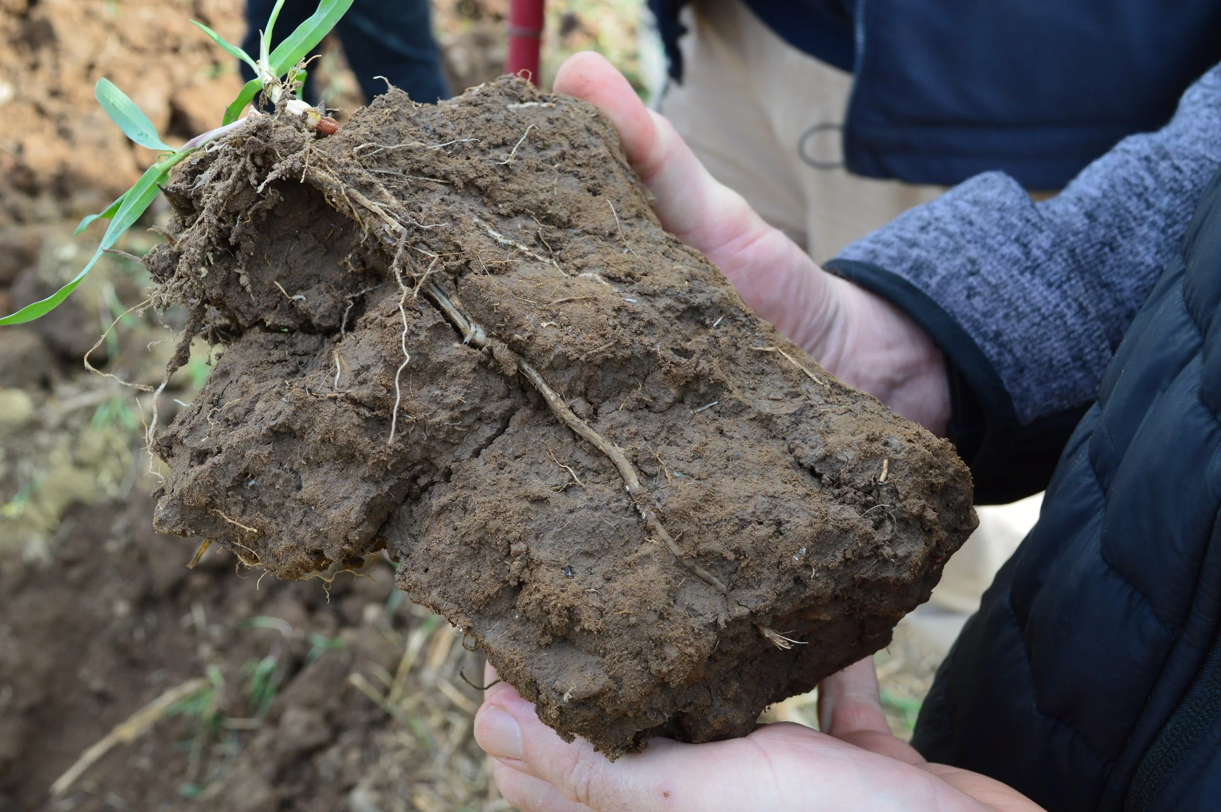 Making the UK food and drink supply chain sustainable, Yorkshire