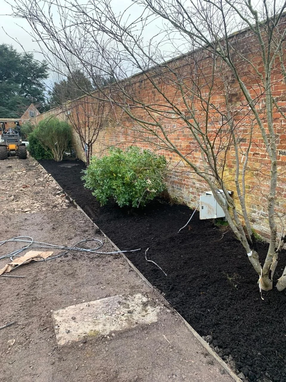 WhatsApp Image 2024-02-27 at 19.08.24.jpeg